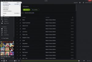 How To Use Spotify: Tips and tricks for fulfilling Spotify experience (3)